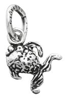 Charm Giovanni Raspini Charms in Argento 06460
